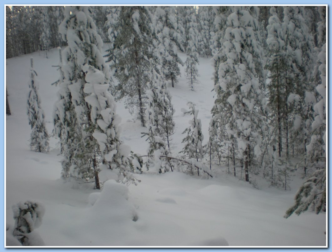 kuvatvalkealampi 171